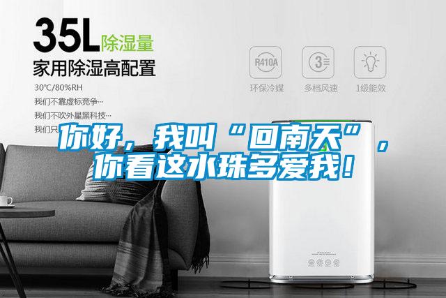 你好，我叫“回南天”，你看这水珠多爱我！