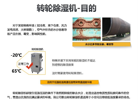 猫粮防潮秘籍，猫粮如何储存