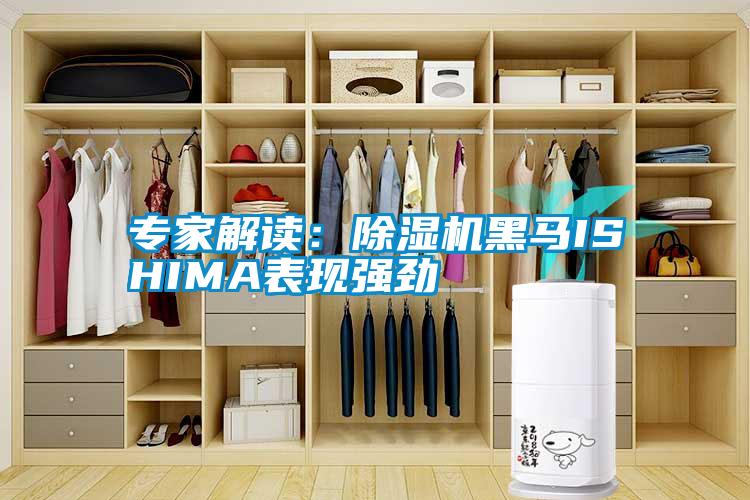 专家解读：除湿机黑马ISHIMA表现强劲