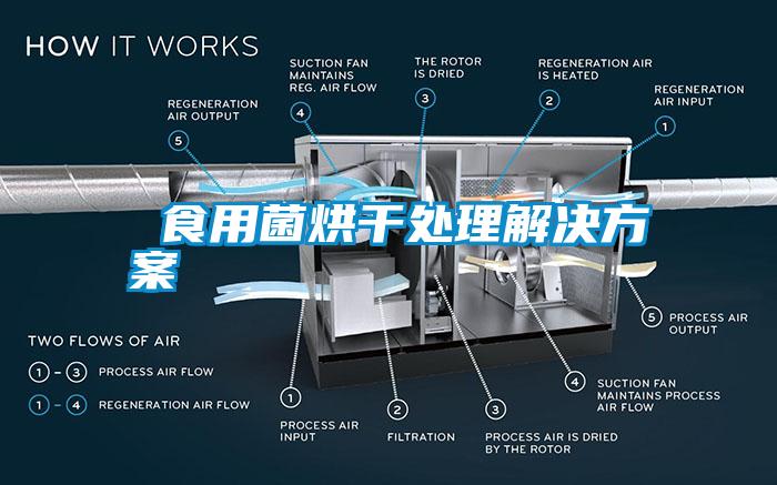  食用菌烘干处理解决方案