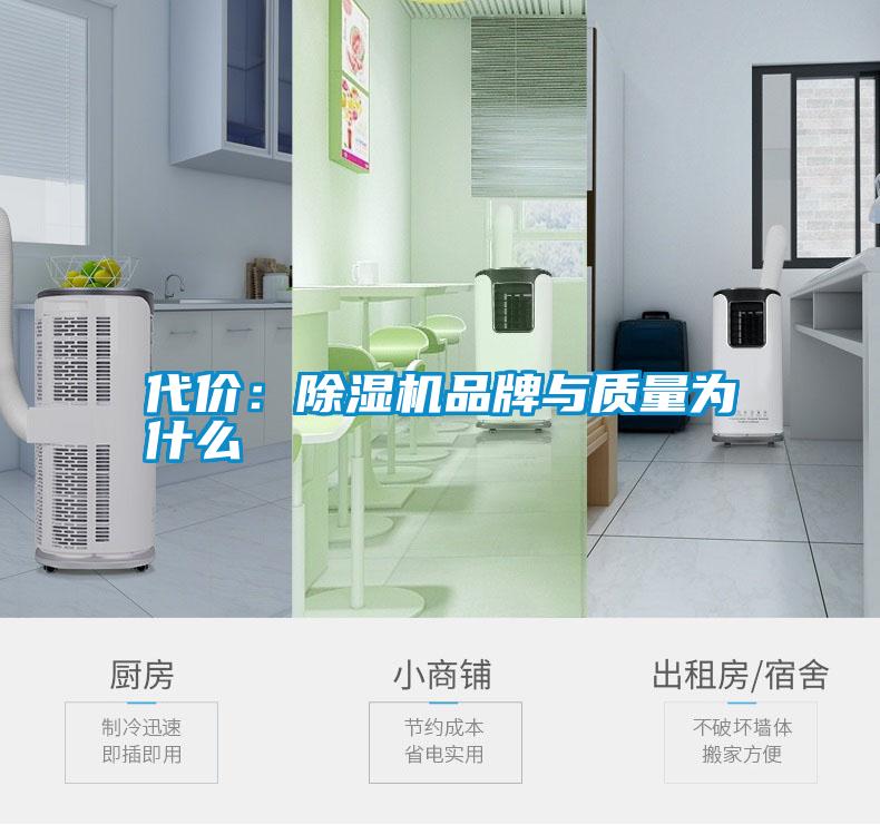代价：除湿机品牌与质量为什么