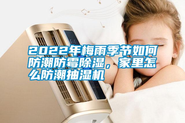 2022年梅雨季节如何防潮防霉除湿，家里怎么防潮抽湿机