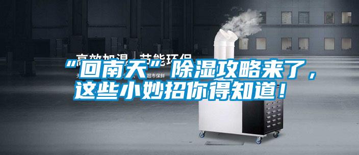 “回南天”除湿攻略来了，这些小妙招你得知道！