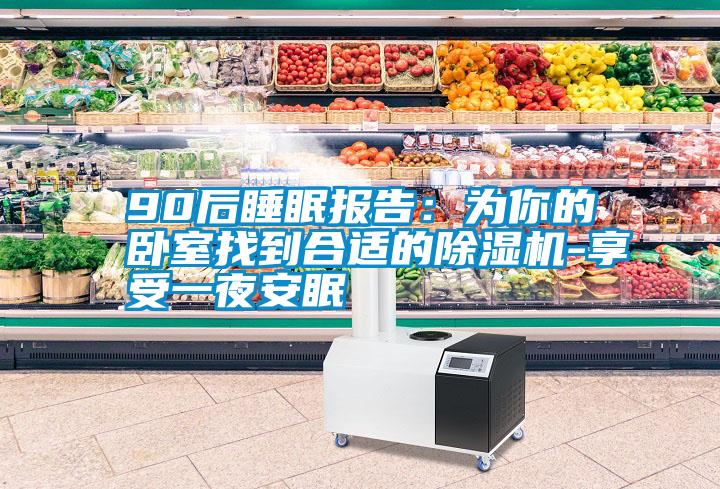 90后睡眠报告：为你的卧室找到合适的除湿机-享受一夜安眠