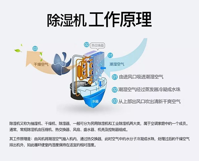 企业新闻潮湿天气狗最容易患上这种毛病！三个注意事项，铲屎官一定要看看