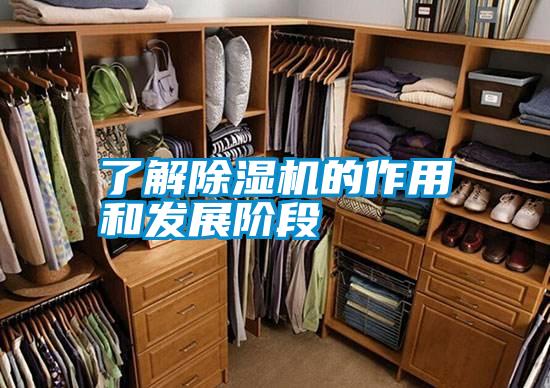 了解除湿机的作用和发展阶段