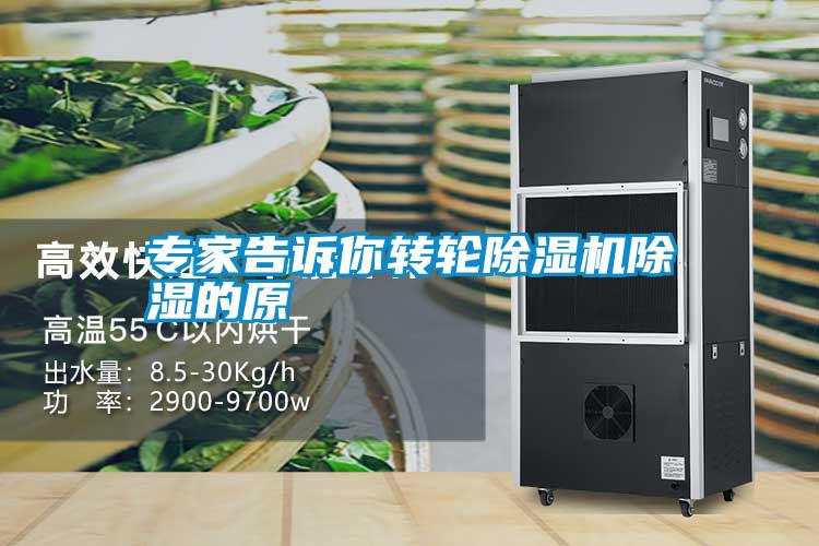 专家告诉你转轮除湿机除湿的原