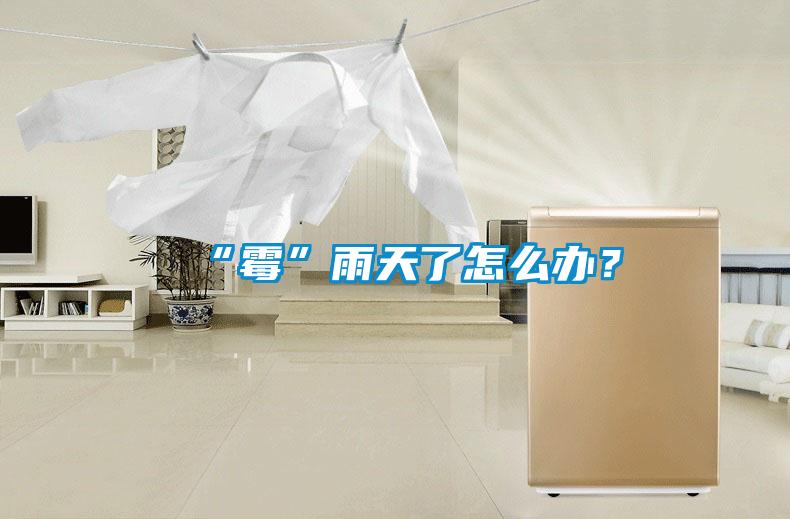 “霉”雨天了怎么办?