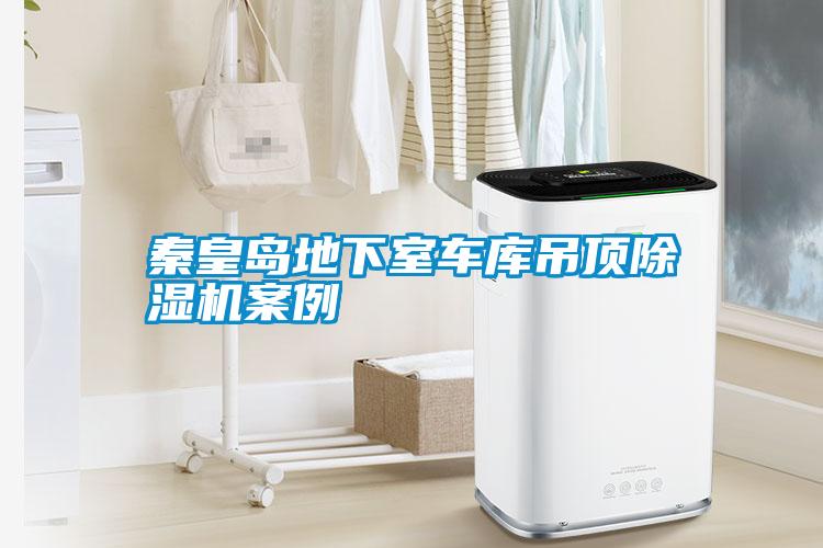 秦皇岛地下室车库吊顶除湿机案例