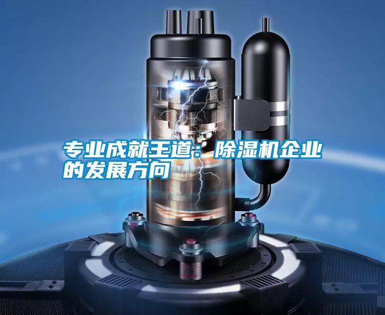 专业成就王道:除湿机企业的发展方向