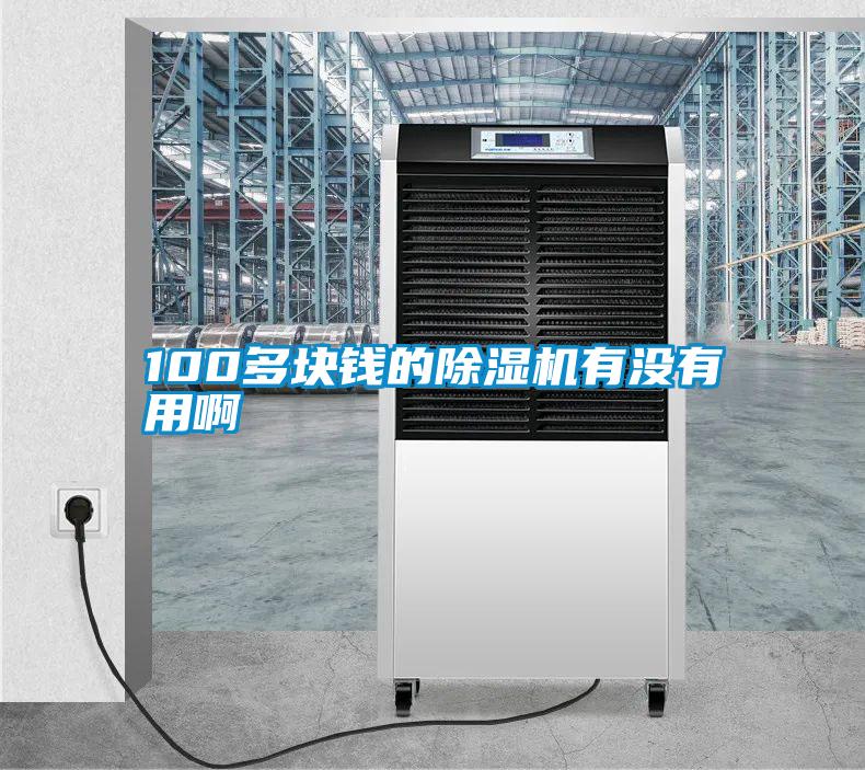 100多块钱的除湿机有没有用啊