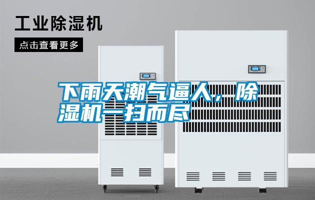 下雨天潮气逼人,除湿机一扫而尽