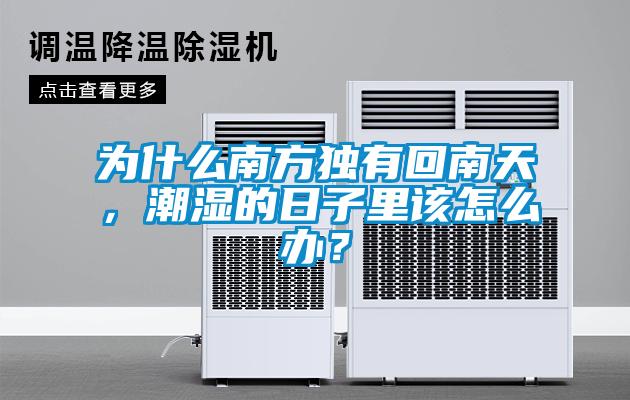 为什么南方独有回南天，潮湿的日子里该怎么办？