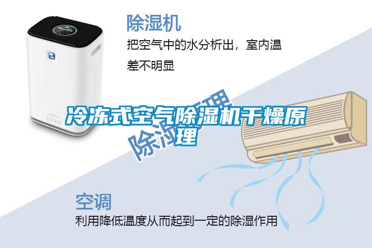冷冻式空气除湿机干燥原理