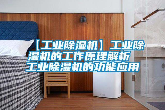 【工业除湿机】工业除湿机的工作原理解析 工业除湿机的功能应用