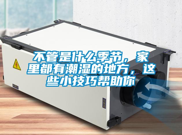不管是什么季节，家里都有潮湿的地方，这些小技巧帮助你