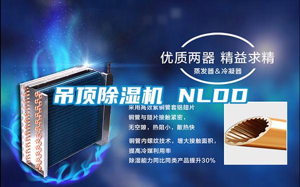 吊顶除湿机 NLDD