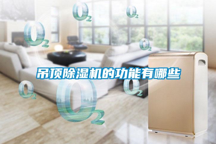 吊顶除湿机的功能有哪些