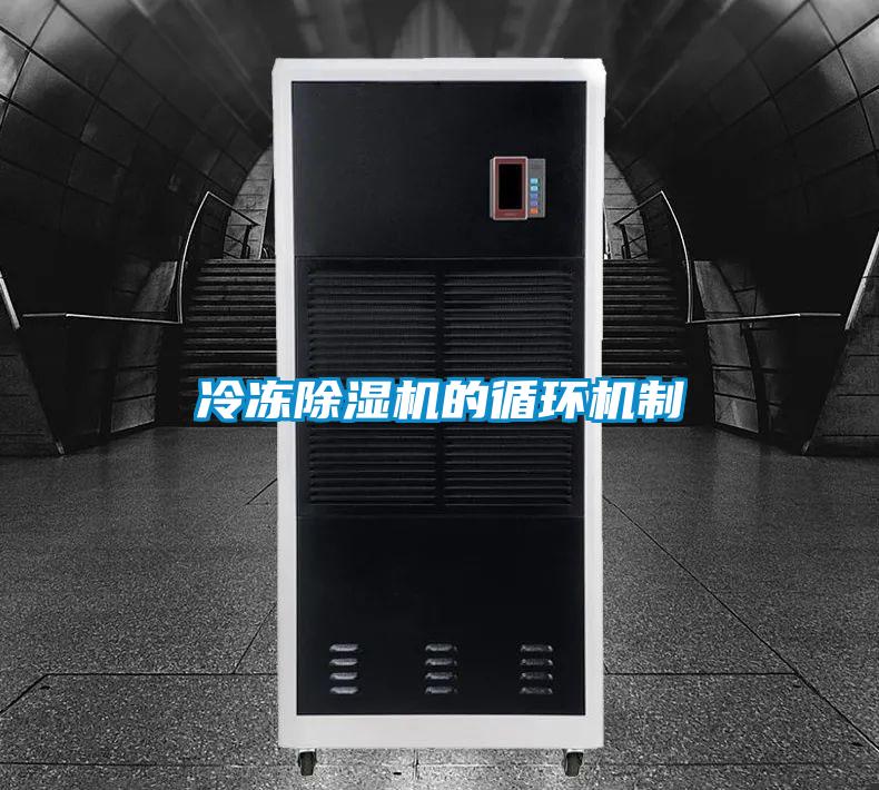 冷冻除湿机的循环机制