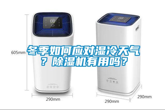 冬季如何应对湿冷天气？除湿机有用吗？