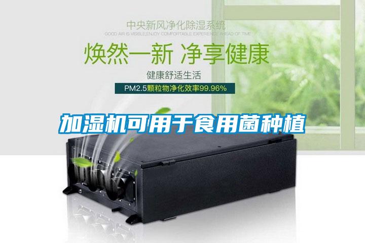 加湿机可用于食用菌种植