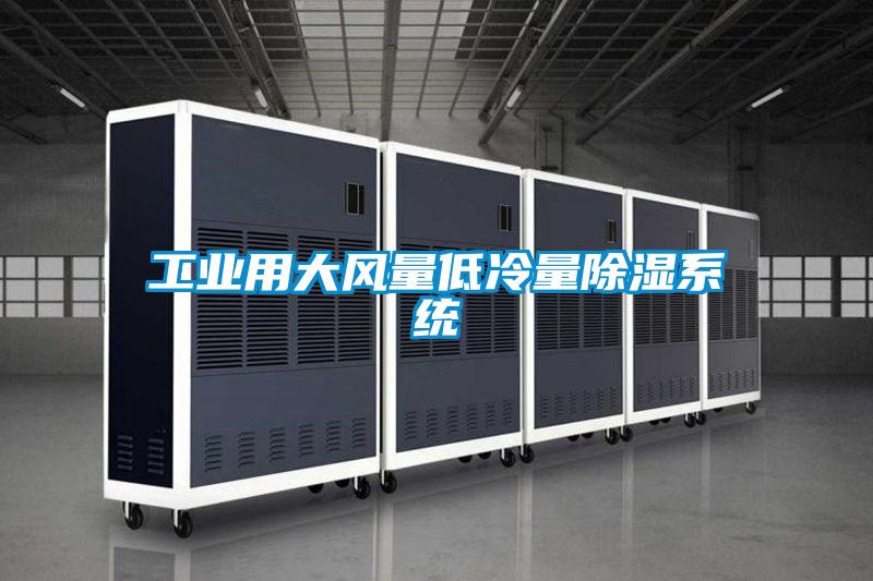 工业用大风量低冷量除湿系统