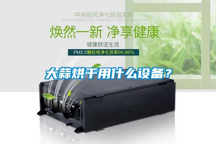 大蒜烘干用什么设备？