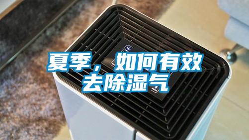 夏季,如何有效去除湿气