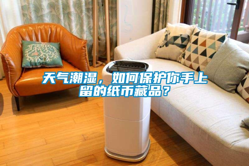 天气潮湿，如何保护你手上留的纸币藏品？