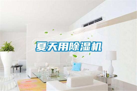 夏天用除湿机
