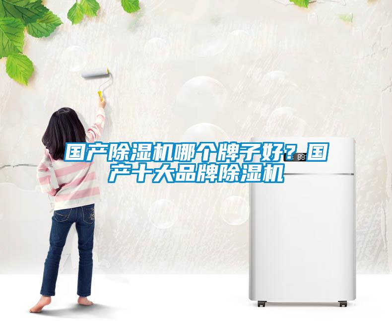 国产除湿机哪个牌子好?国产十大品牌除湿机