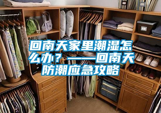 回南天家里潮湿怎么办？——回南天防潮应急攻略