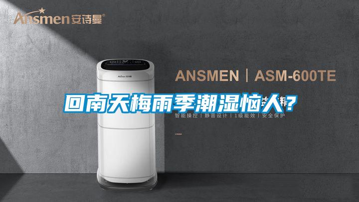 回南天梅雨季潮湿恼人?