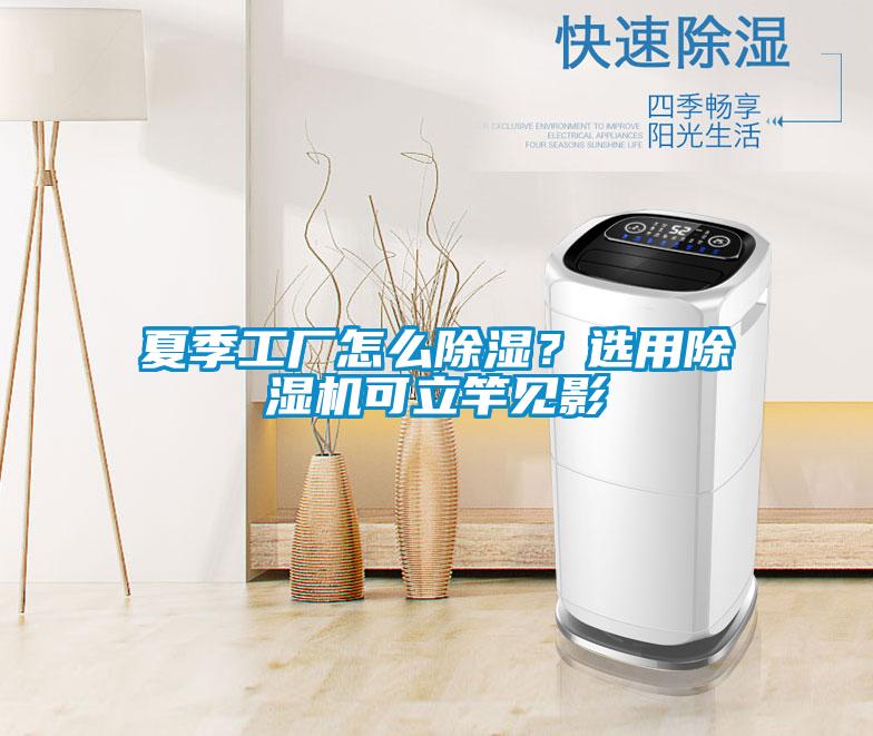 夏季工厂怎么除湿?选用除湿机可立竿见影