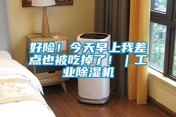好险!今天早上我差点也被吃掉了!|工业除湿机