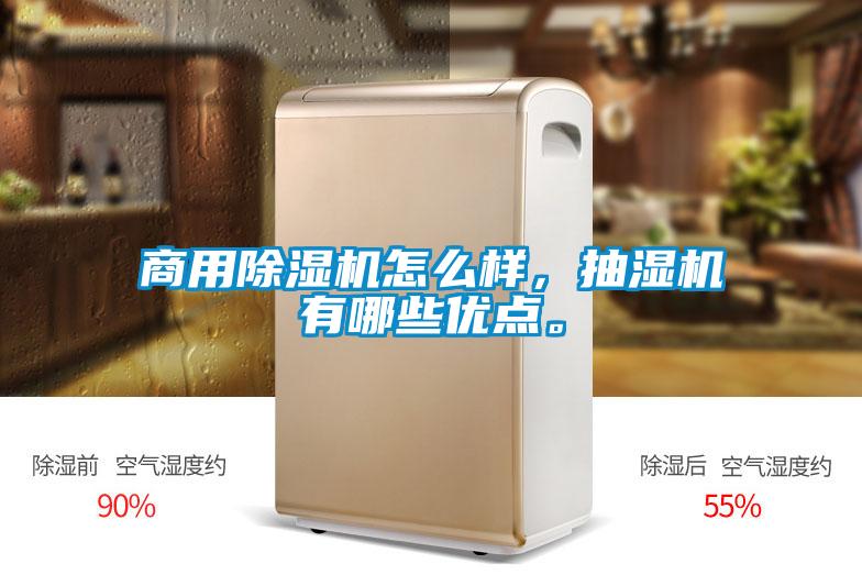 商用除湿机怎么样,抽湿机有哪些优点。