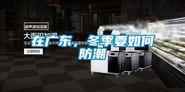 在广东，冬季要如何防潮