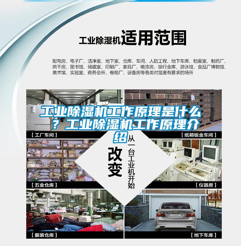 工业除湿机工作原理是什么 ？工业除湿机工作原理介绍