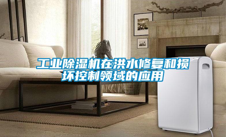工业除湿机在洪水修复和损坏控制领域的应用