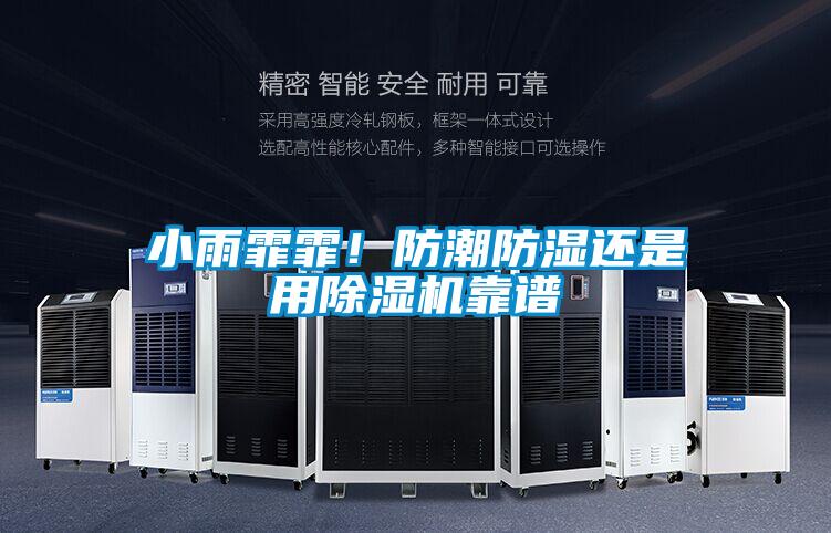 小雨霏霏！防潮防湿还是用除湿机靠谱