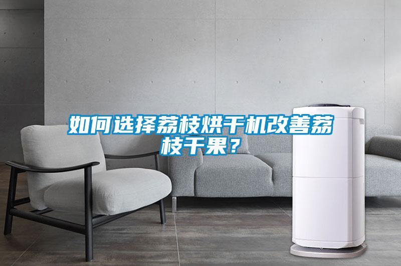 如何选择荔枝烘干机改善荔枝干果？