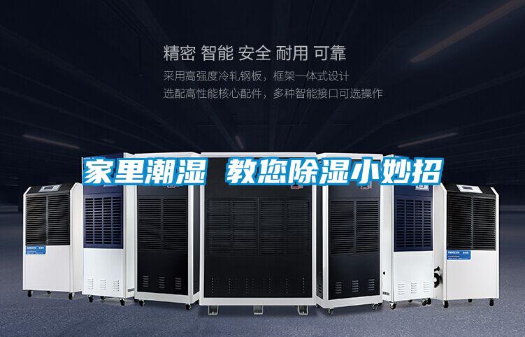 家里潮湿 教您除湿小妙招