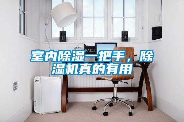 室内除湿一把手,除湿机真的有用