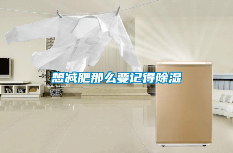 想减肥那么要记得除湿