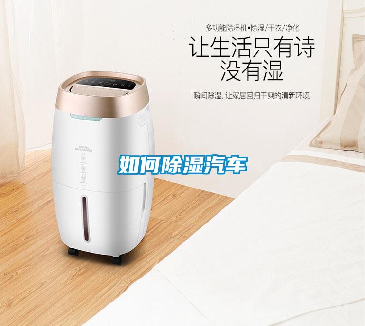 如何除湿汽车