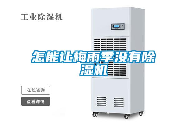 怎能让梅雨季没有除湿机