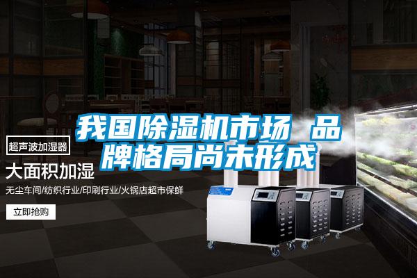 我国除湿机市场 品牌格局尚未形成