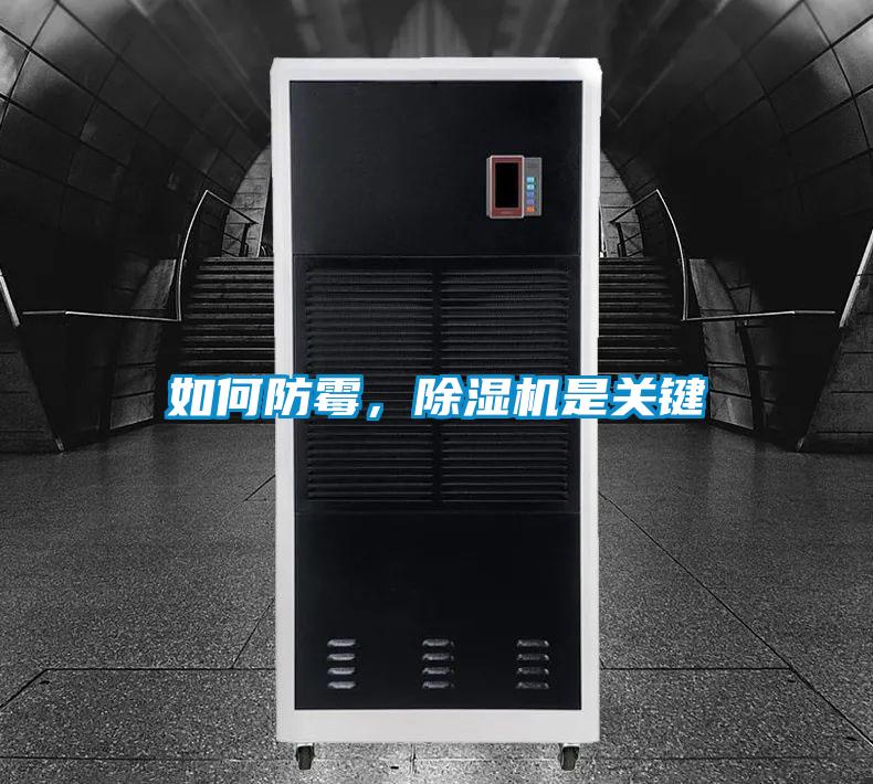 如何防霉，除湿机是关键