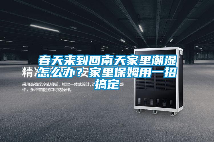 春天来到回南天家里潮湿怎么办?家里保姆用一招搞定