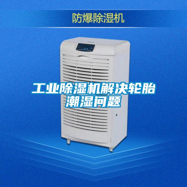工业除湿机解决轮胎潮湿问题